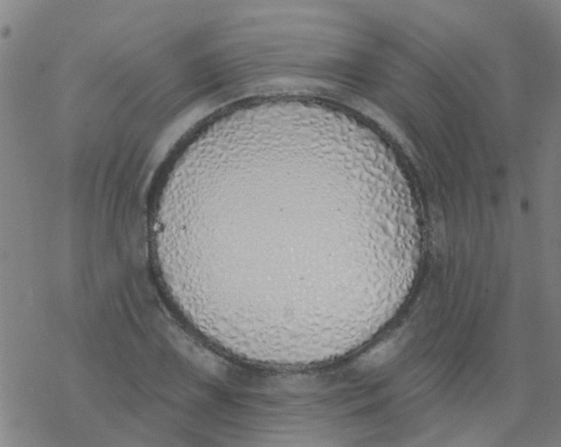 X0000077401075200611101814