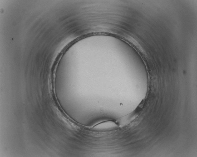 X0000077401076200611101814