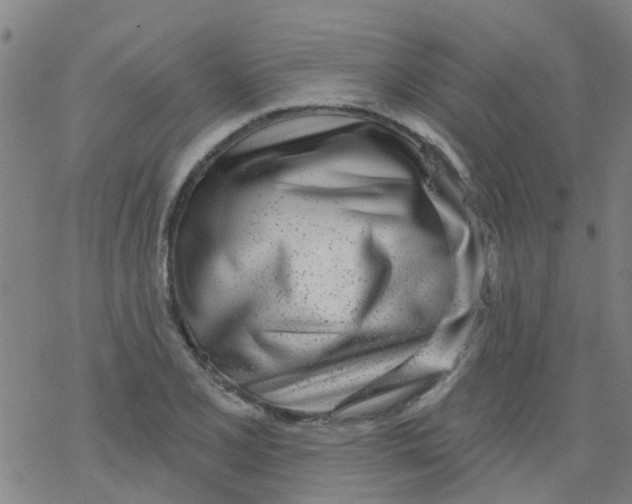 X0000077401077200611101814