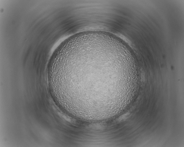 X0000077401078200611101814