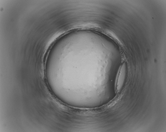 X0000077401079200611101814