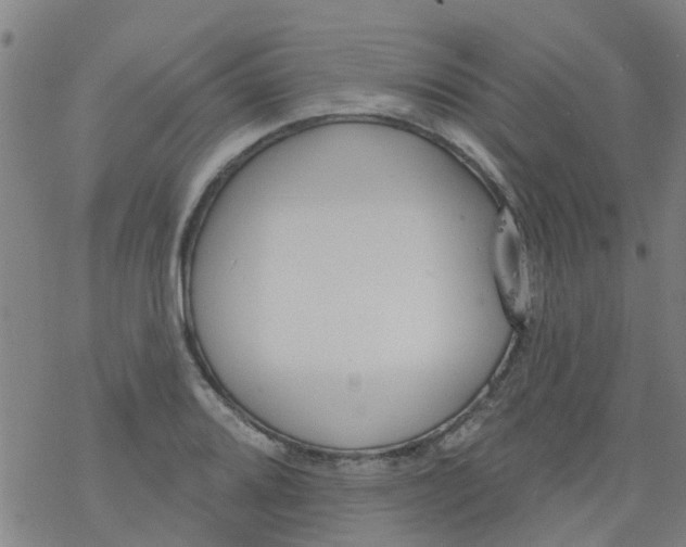 X0000077401080200611101814