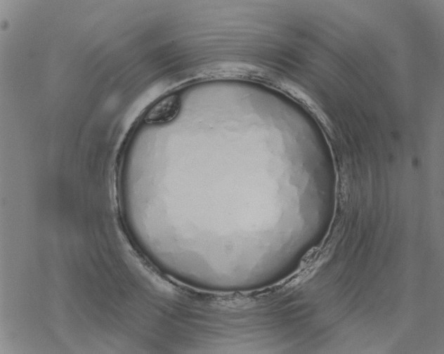 X0000077401083200611101814