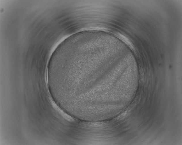 X0000077401084200611101814