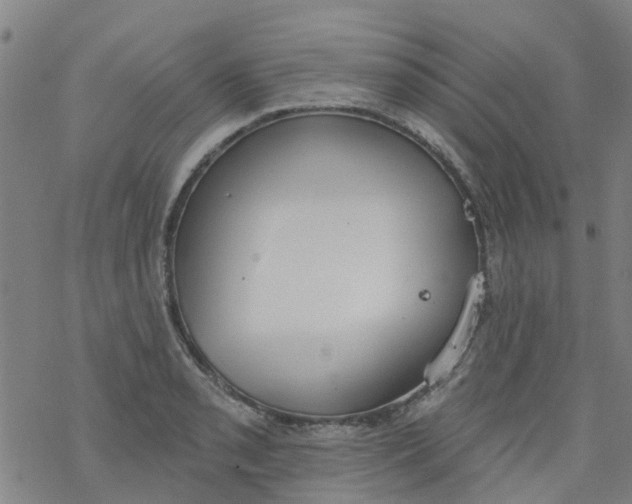 X0000077401085200611101814