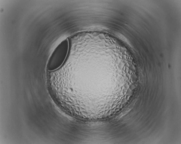 X0000077401087200611101814