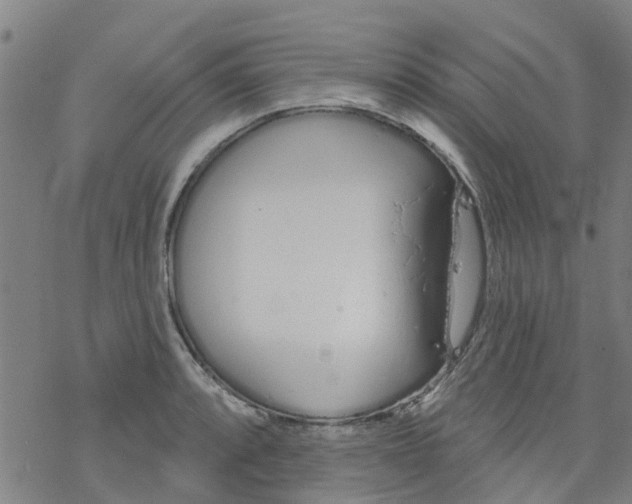 X0000077401088200611101814