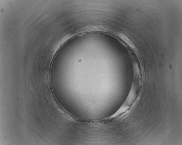 X0000077401089200611101814