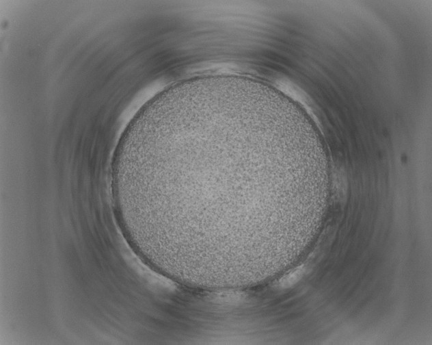 X0000077401090200611101814