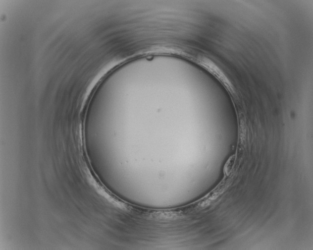 X0000077401092200611101814