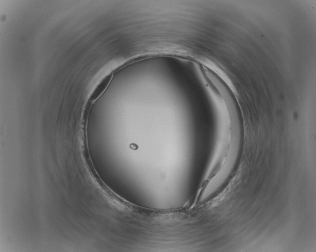 X0000077401093200611101814