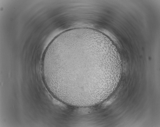 X0000077401094200611101814