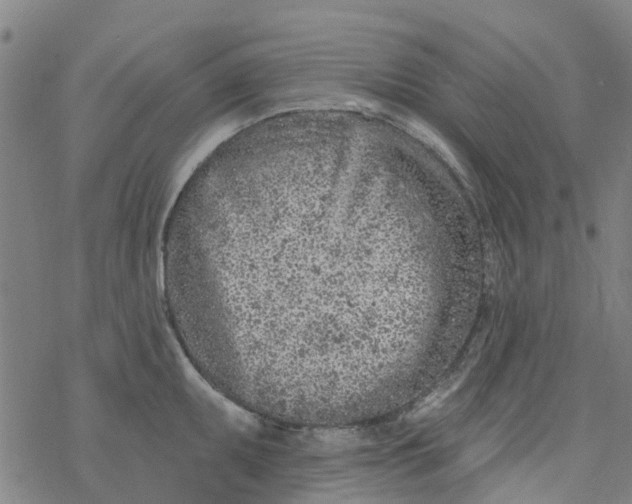 X0000077401095200611101814