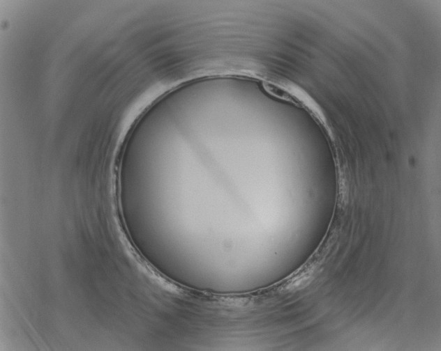 X0000077401096200611101814