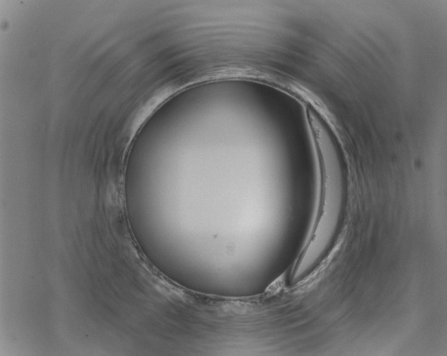 X0000077401097200611101814