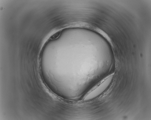 X0000077401099200611101814