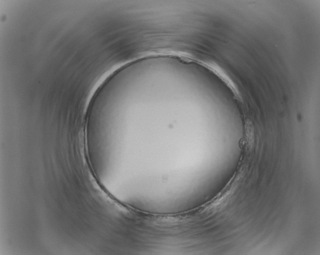 X0000077401100200611101814