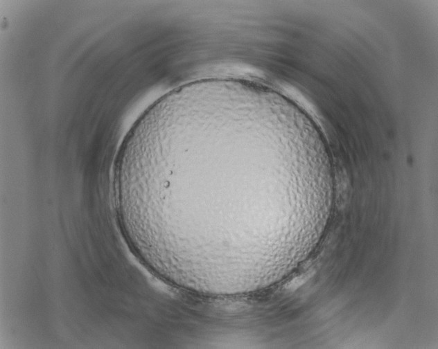 X0000077401103200611101814