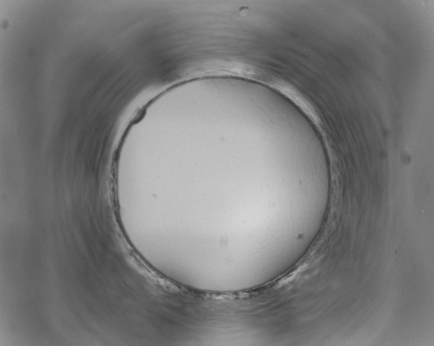 X0000077401104200611101814