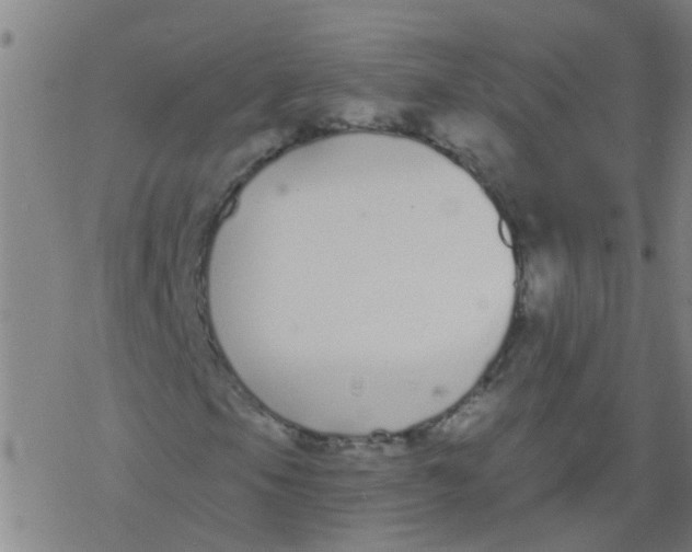 X0000077401105200611101813