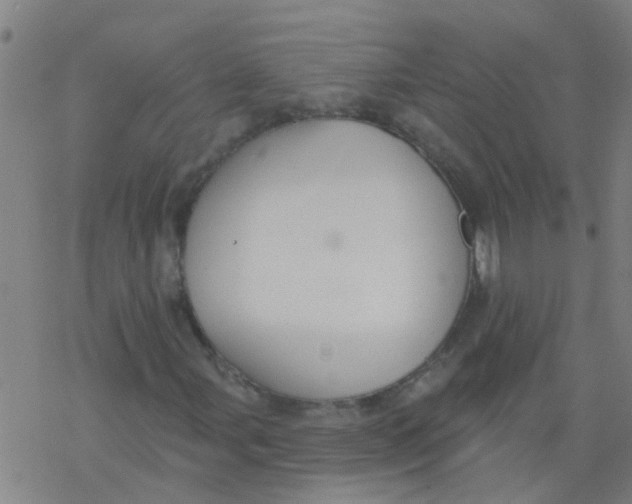 X0000077401107200611101813