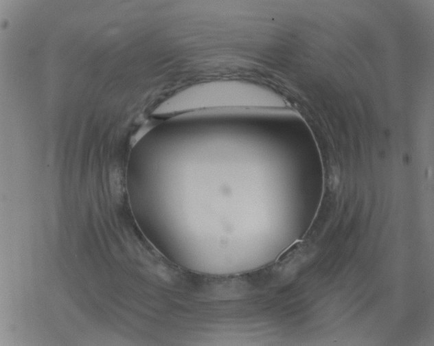 X0000077401108200611101813