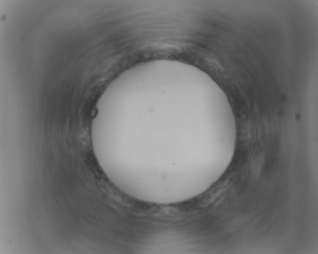 X0000077401109200611101813