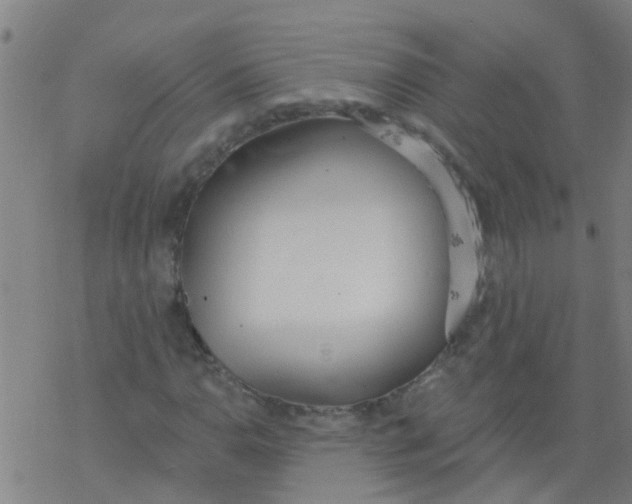 X0000077401110200611101813