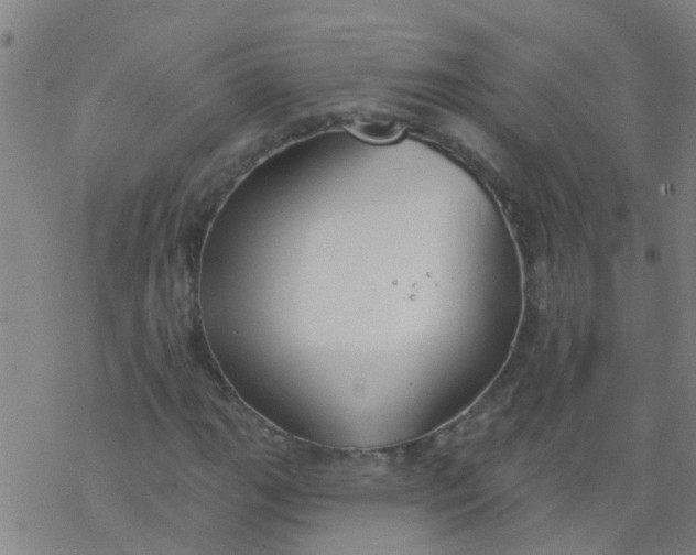 X0000077401111200611101813