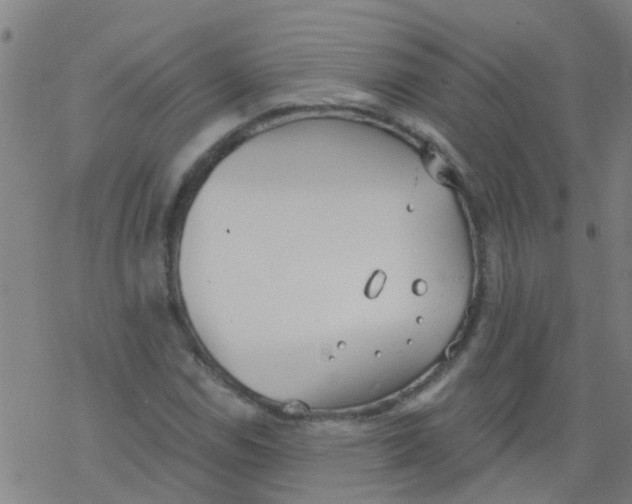 X0000077401114200611101813