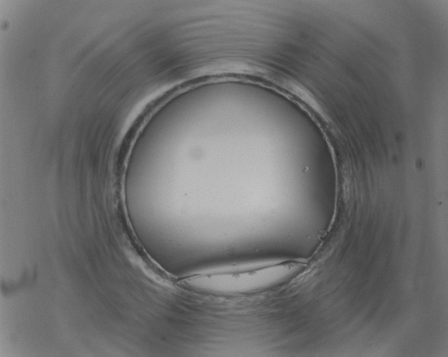 X0000077401116200611101813