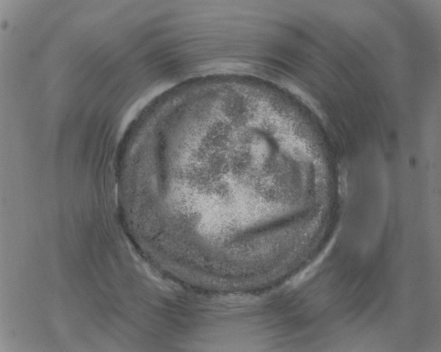 X0000077401117200611101813