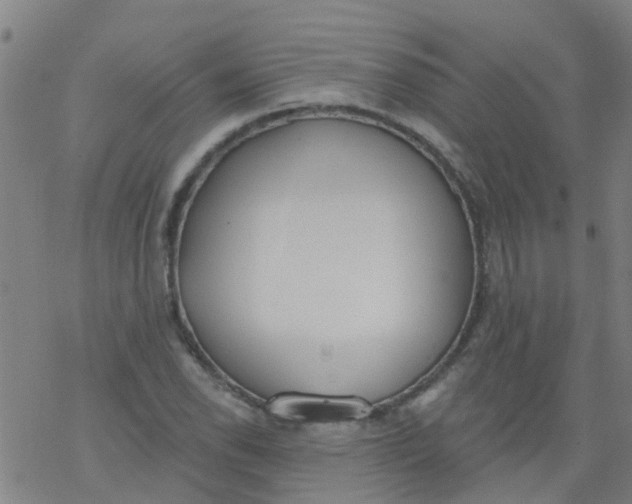 X0000077401118200611101813