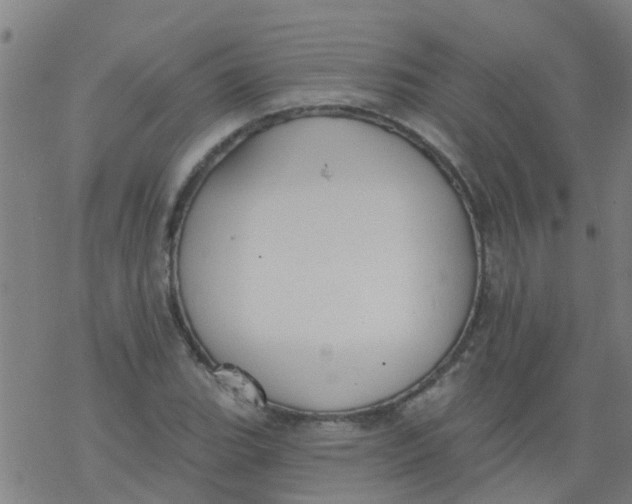 X0000077401119200611101813