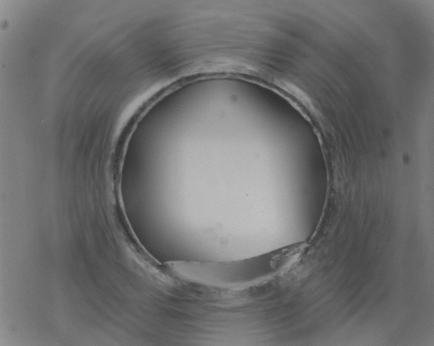 X0000077401120200611101813