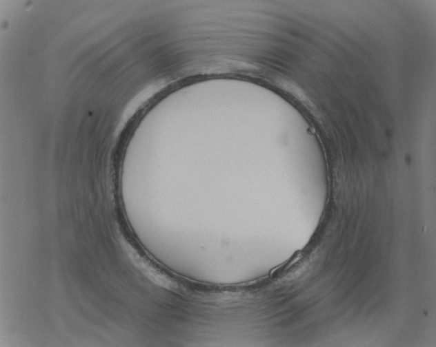 X0000077401122200611101813