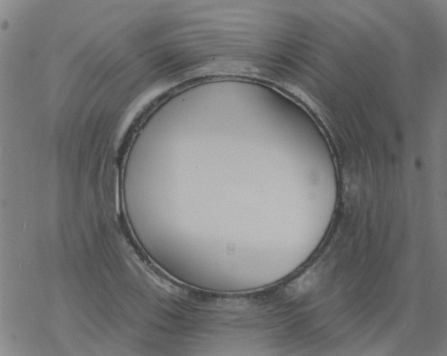 X0000077401123200611101813