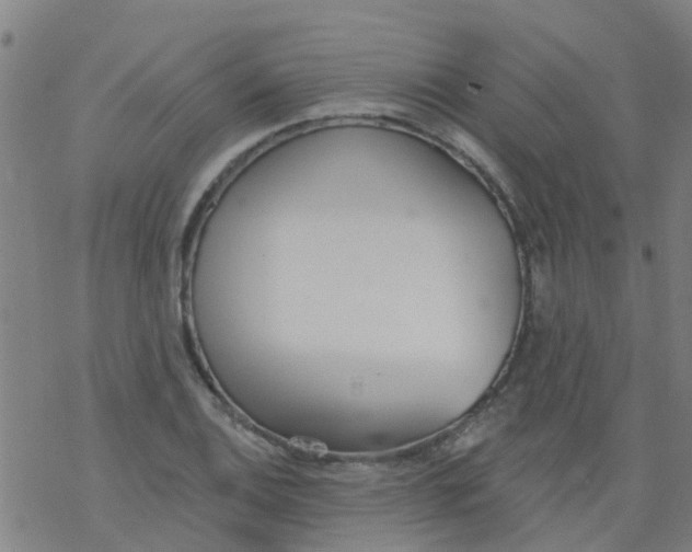 X0000077401124200611101813