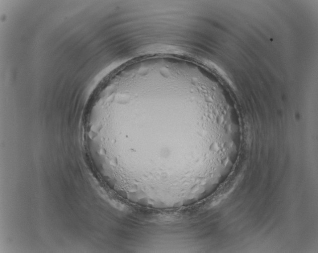 X0000077401125200611101813