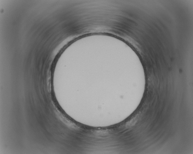 X0000077401126200611101813