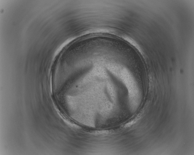 X0000077401127200611101813