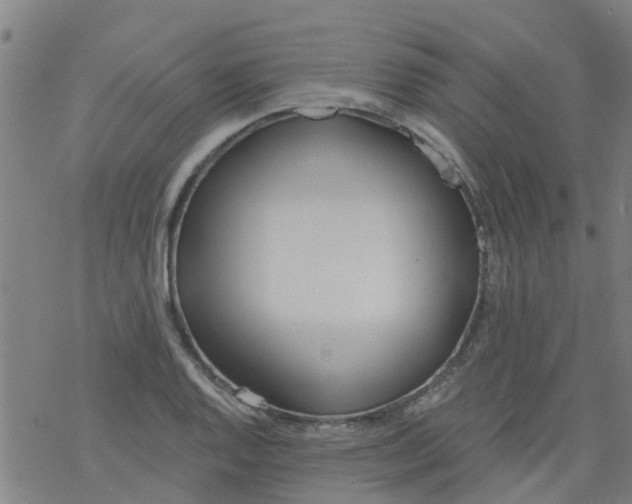 X0000077401128200611101813