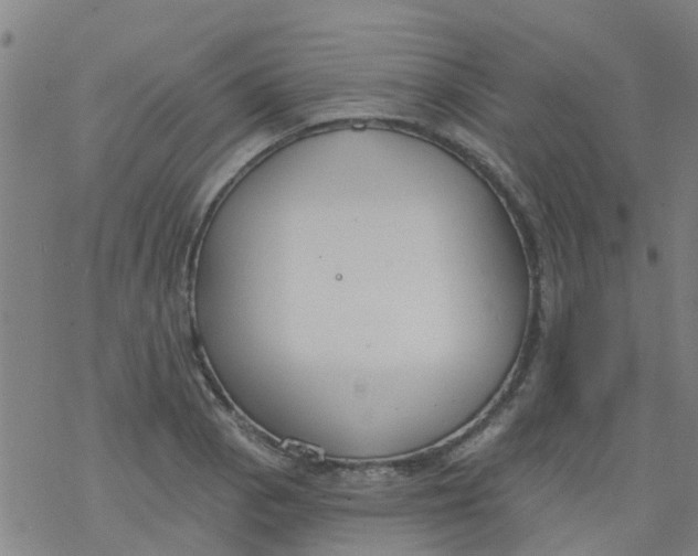 X0000077401129200611101813