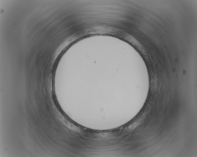 X0000077401130200611101813