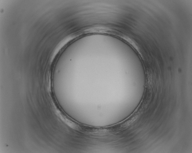 X0000077401131200611101813