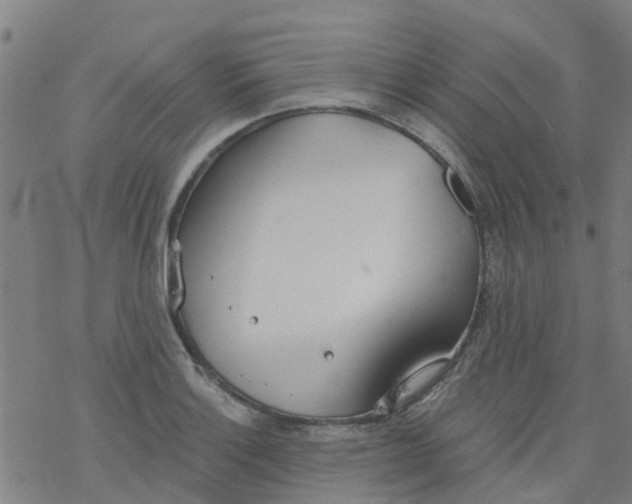 X0000077401132200611101813