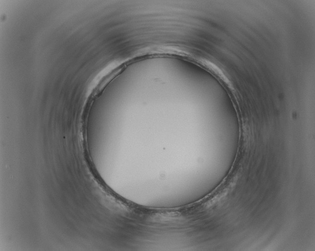 X0000077401133200611101813