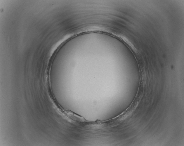 X0000077401134200611101813