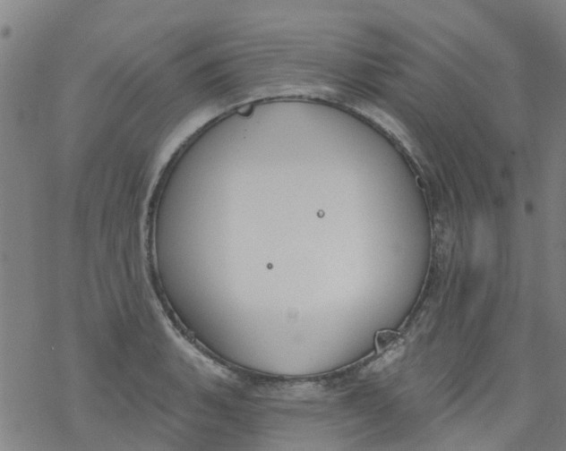 X0000077401135200611101813