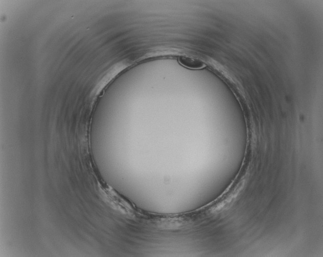 X0000077401137200611101813